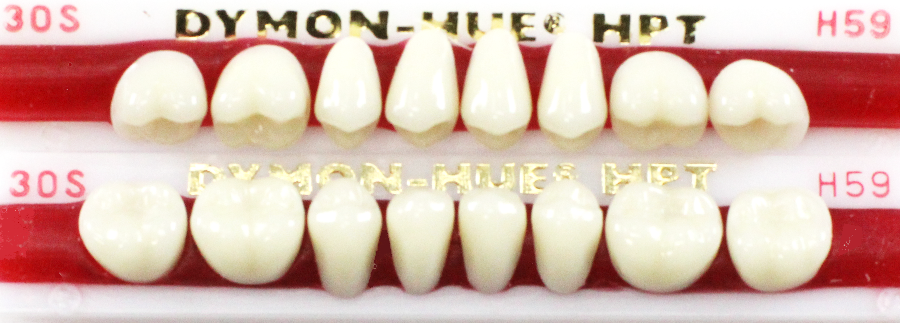 MOLD 30S  Posterior Replacement Teeth
