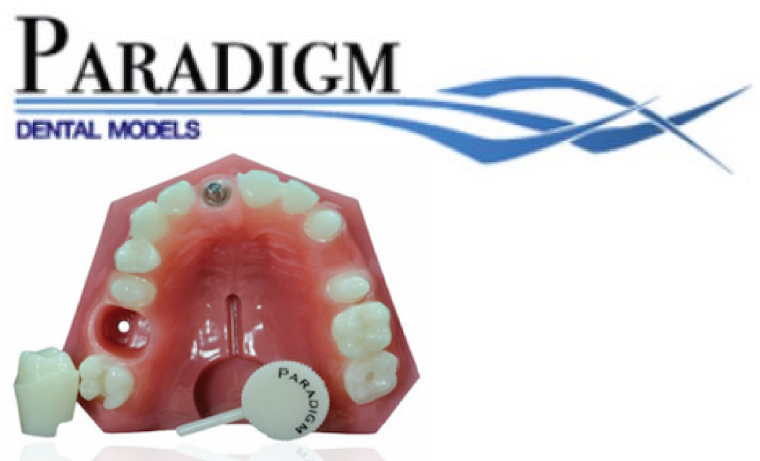 Paradigm Dental Models